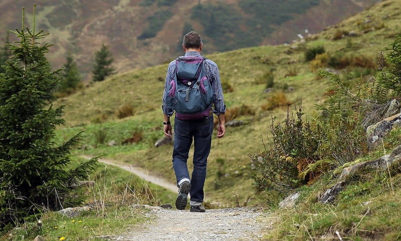 Hiking Wellness